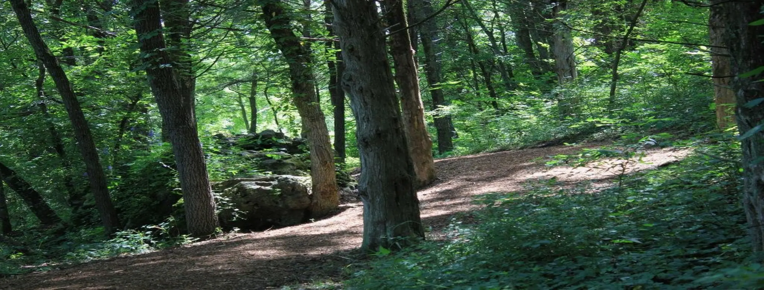 Image for Unspoiled Nature